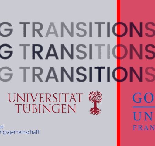 Header: www.doing-transitions.de